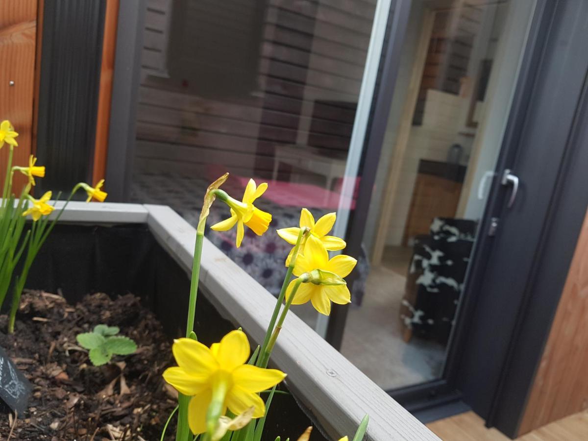 Angers Green Lodge Екстериор снимка